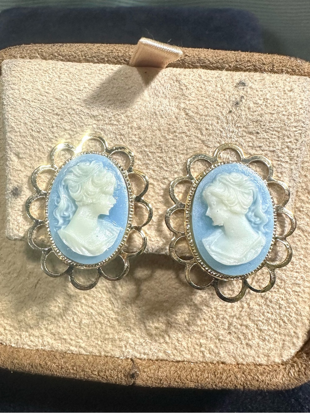 NOS: Vtg Left and Right Facing Lucite Cameo Clip On Earrings